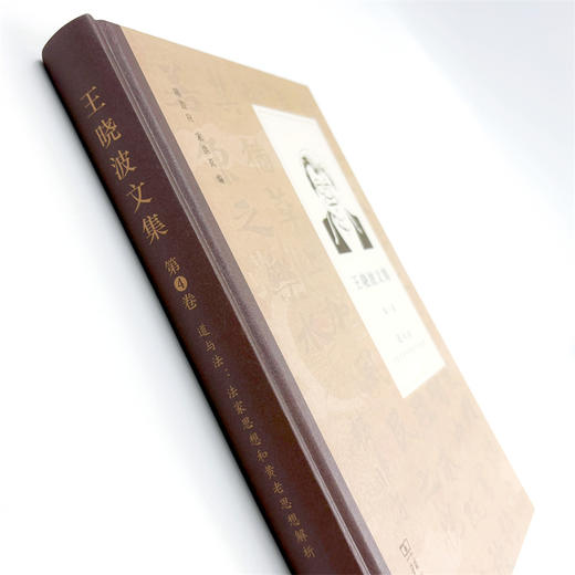 王晓波文集(第4卷)：道与法－－法家思想和黄老哲学解析 商品图4