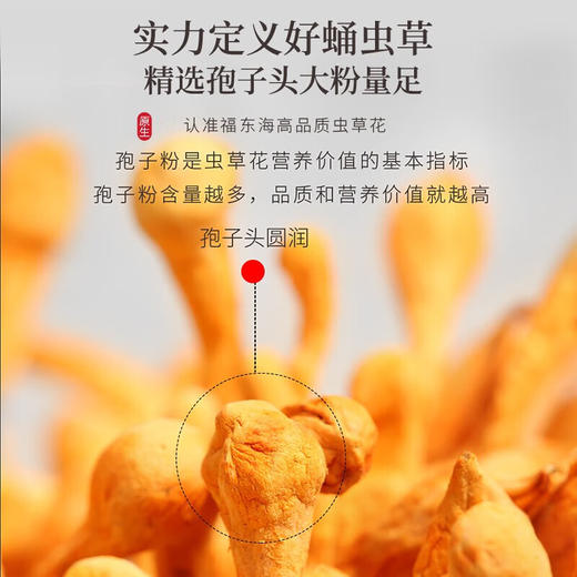 福东海 虫草花200g 蛹虫草北孢子头菌菇干货煲汤火锅食材 年货中秋过节送礼礼盒 商品图1