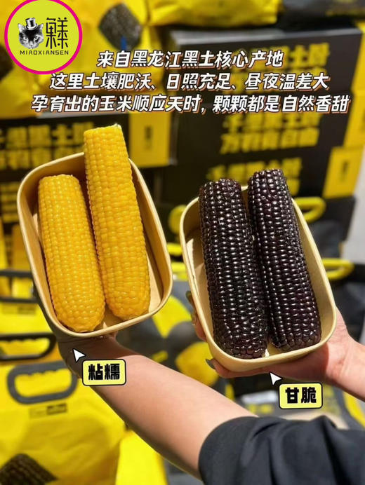 corn uitra黑金时刻🌽黑龙江双拼玉米礼盒💝 商品图4