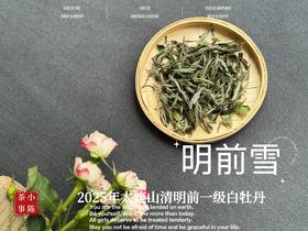 【新茶上市】2025清明前白牡丹《明前雪》，绮丽梦幻的兰花香，伴着极致清新的鲜爽，仿佛在那个倒春寒的季节，下了一场芬芳的雪