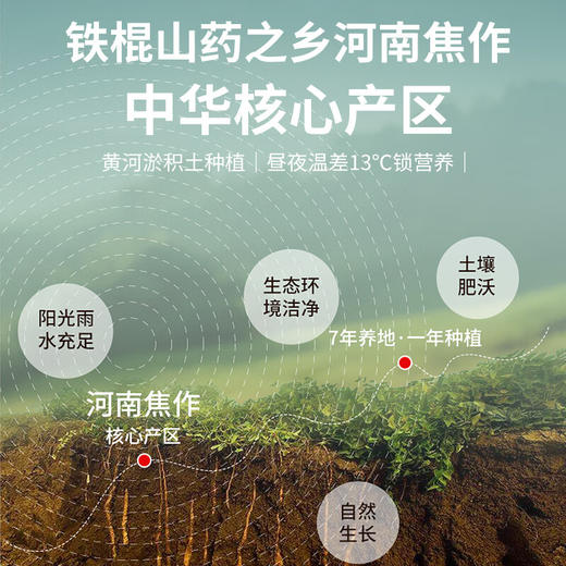 福东海 铁棍山药粉500克【纯怀山药】即冲山药粉即饮可搭养胃食品粥代餐粉熟粉营养早餐粉养生 商品图2