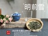 【新茶上市】2025清明前白牡丹《明前雪》，绮丽梦幻的兰花香，伴着极致清新的鲜爽，仿佛在那个倒春寒的季节，下了一场芬芳的雪 商品缩略图6