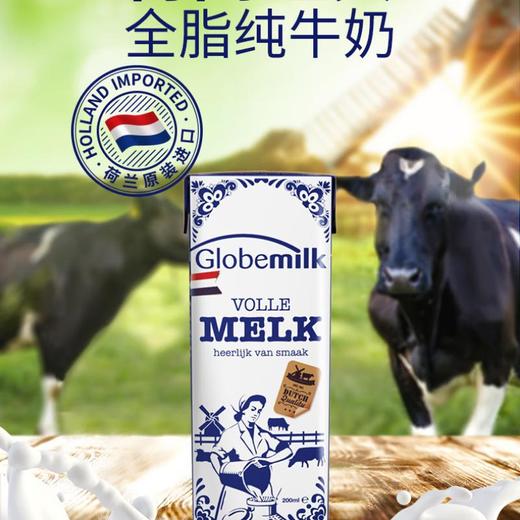 荷兰荷高全脂牛奶200ml*3 商品图0