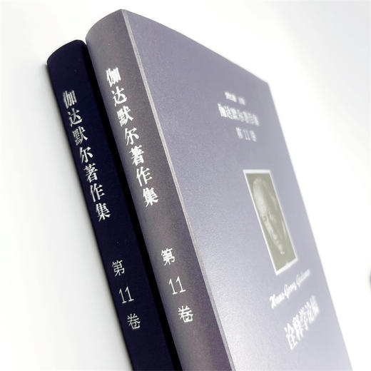 伽达默尔著作集(第11卷) 商品图3
