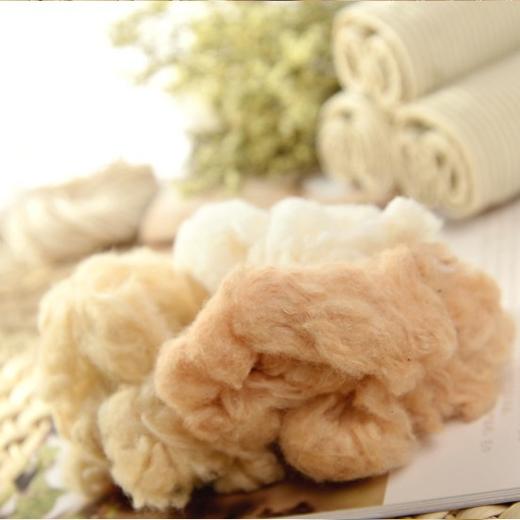 有机棉系列   女士提臀塑身裤 商品图2