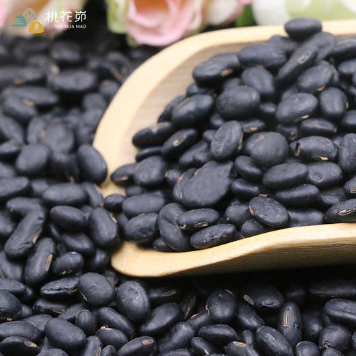 【五谷杂粮】桃花峁陕西米脂山地黑豆500g*4袋陕北特产农家黑豆粗粮 商品图2
