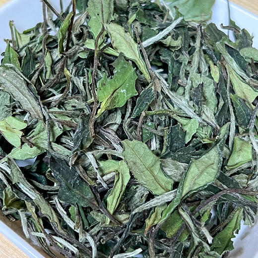 品政韵（原添寿白茶）丨高山白牡丹 2025年 政和白茶 一级 50g/250g/2.5kg 藏茶存茶 商品图1