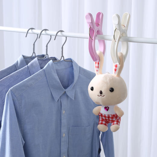 【批发】美丽雅弹簧晒夹 夹被子衣物 2个/袋 商品图5