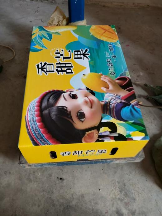 自然农法种植改造第十二年的台农芒果，桂七芒果 商品图8