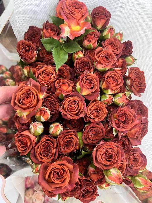 国产多头玫瑰巧克力泡泡10支 商品图6