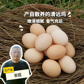 生态初生鸡蛋 | 绿家自产* Eco- primary egg | Self-production