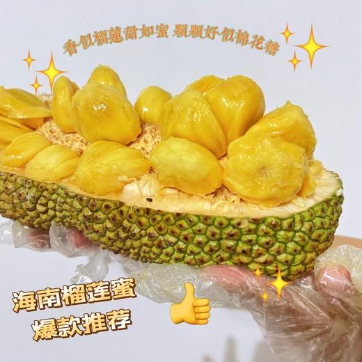 海南三亚直发 大叶黄榴莲蜜 精品榴莲蜜 20年以上老树，专做老树果 商品图5
