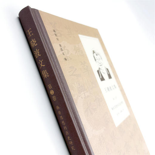 王晓波文集(第2卷)：韩非思想的历史研究 商品图4