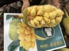 海南三亚直发 大叶黄榴莲蜜 精品榴莲蜜 20年以上老树，专做老树果 商品缩略图9