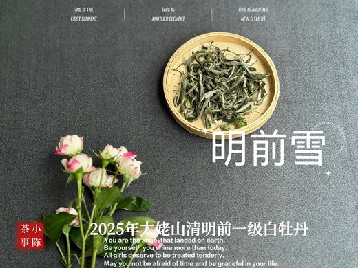 【新茶上市】2025清明前白牡丹《明前雪》，绮丽梦幻的兰花香，伴着极致清新的鲜爽，仿佛在那个倒春寒的季节，下了一场芬芳的雪 商品图0