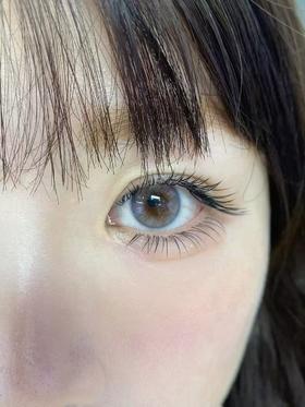 skeye半年抛美瞳 奶油柚子 14.2mm