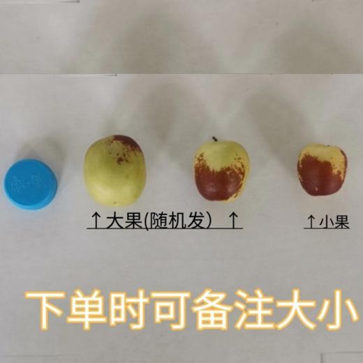 牛奶冬枣，皮薄核小，甜脆多汁，出口标准，现摘现发，72小时顺丰包邮 商品图6