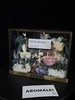 AROMELAI 花艺 永生花礼品 私人定制 商品缩略图2