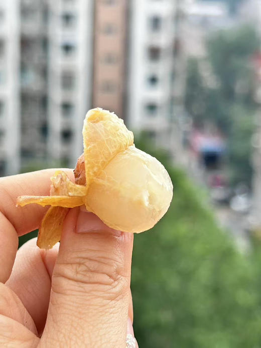 【京津冀包邮】黄皮果真的是夏天的宝藏水果，小小的身躯藏着大大的惊喜！一种很丰富的味道，葡萄，橘子还有点柚子的感觉，酸酸甜甜，凉一些更好吃，3斤/箱 商品图1