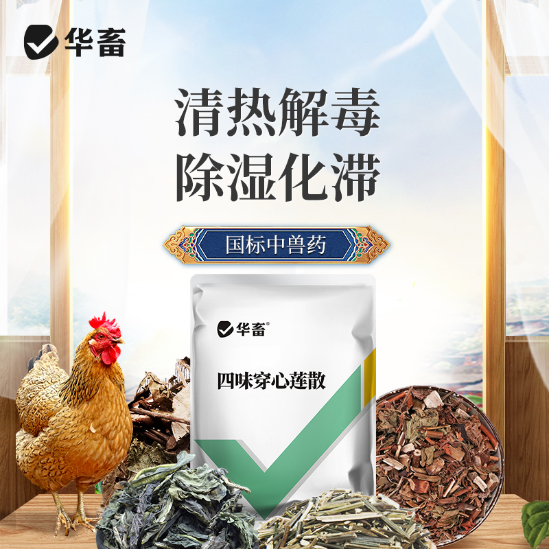 华畜兽药四味穿心莲散500g 除湿化瘀泻痢积滞 大肠杆菌拉稀肠炎 禽用中兽药