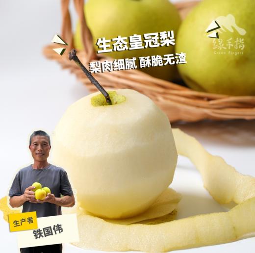 生态皇冠梨 | 合作生产 *Eco-Jade dew pear | Coproduction 商品图0