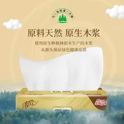 清风原木金装4层100抽BR62MC 6连包 商品图3