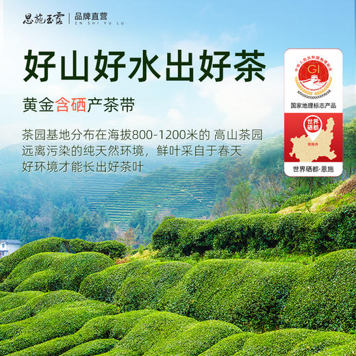 茶马世家恩施玉露柿柿如意礼盒200g 商品图1