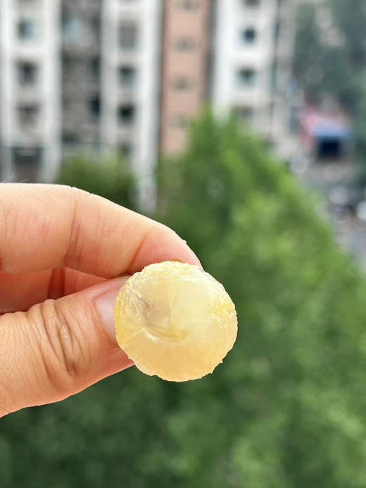 【京津冀包邮】黄皮果真的是夏天的宝藏水果，小小的身躯藏着大大的惊喜！一种很丰富的味道，葡萄，橘子还有点柚子的感觉，酸酸甜甜，凉一些更好吃，3斤/箱 商品图2