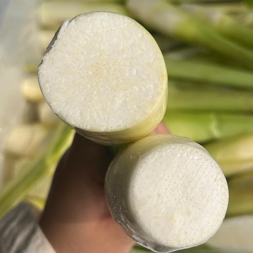 福建安溪茭白【约1.9斤】 商品图5