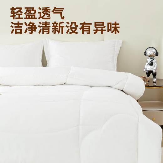 安巢ANCHOW 羊毛混合冬被 AW10706【LXGWZQ3.0】 商品图4