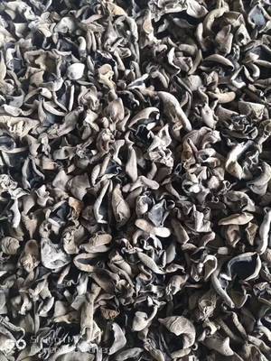 干小木耳  100g 商品图0