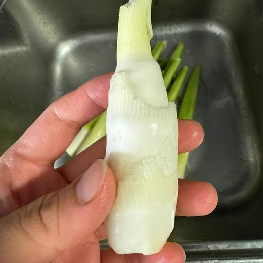 福建安溪茭白【约1.9斤】 商品图3