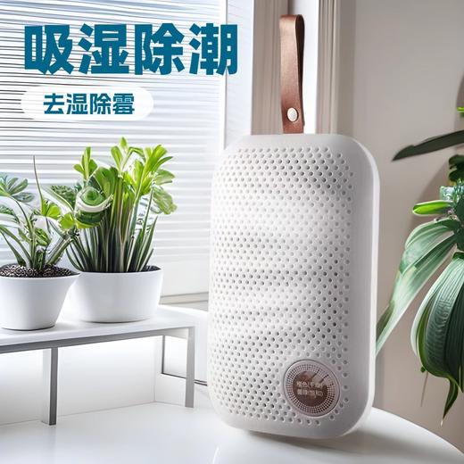 便携式车内卫生间除湿器家用卧室衣柜鞋柜吸湿器梅雨季节除湿器 商品图2