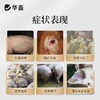 华畜兽用黄连解毒散500g 泻火解毒 抗病毒 甄选中药材 疗效更好 禽畜通用 商品缩略图1