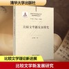 比较文学新发展研究 商品缩略图0