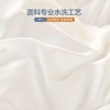 【水星儿童]】母婴A类抗菌宿舍上下铺被子枕头垫子套装 商品缩略图2