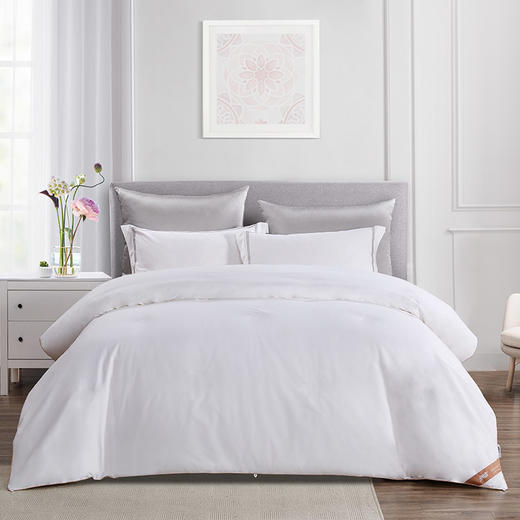 【春上新】10楼 安睡宝 全棉天然桑蚕丝抗菌加厚冬被200*230cm 吊牌价6299元 活动价1999元 商品图0