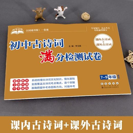 小学古诗词满分检测试卷课内课外古诗词阅读理解专项助考金卷 商品图3