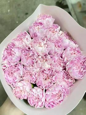 单康 | 银杏优香