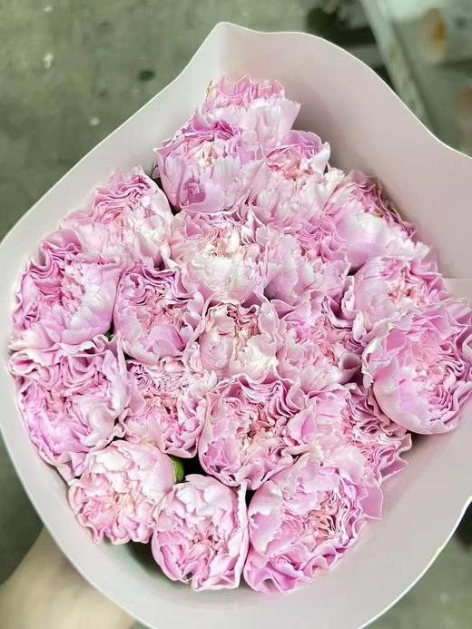 单康 | 银杏优香 商品图0