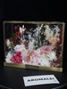AROMELAI 花艺 永生花礼品 私人定制 商品缩略图0