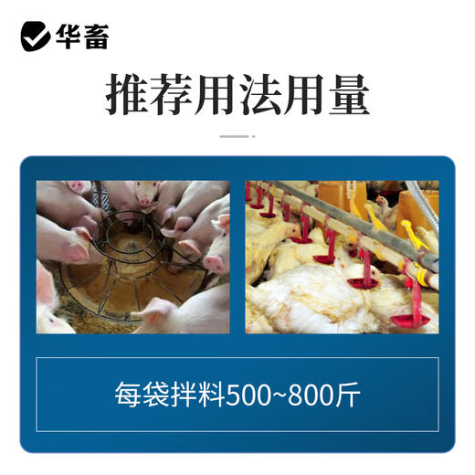 华畜扶正解毒散2斤装 扶正祛邪 清热解毒 增免疫 禽药抗病毒 商品图3