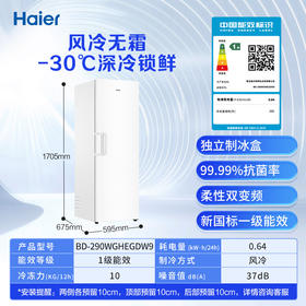 海尔（Haier）290/335升风冷无霜家用立式冰柜冷藏柜冷冻柜小冰柜家用商用小型冰箱冷柜 BD-290WGHEGDW9冰雪白 290L