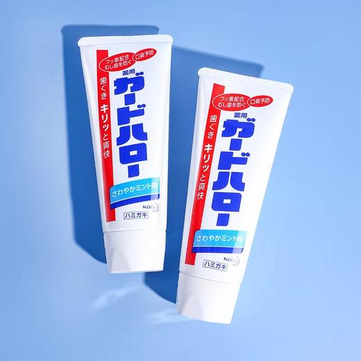 花王预防牙周炎牙膏165g 商品图0