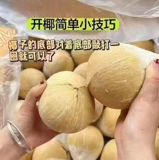 泰国老树椰皇 商品图2