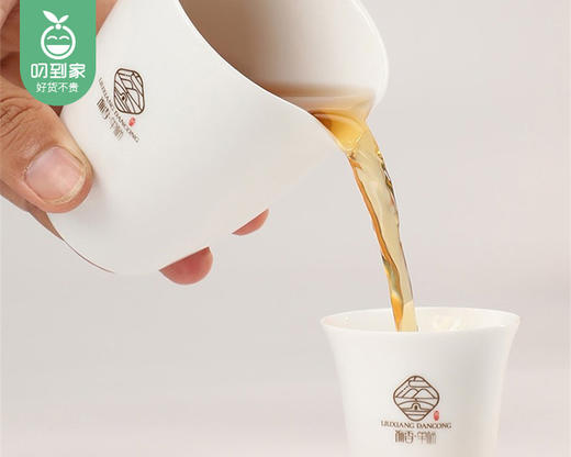 徐聘号留之香凤凰单丛（单枞浓香型）/1罐（约250g）生产日期：25年4月补单专用 商品图3