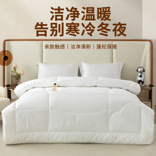 安巢ANCHOW 羊毛混合冬被 AW10706【LXGWZQ3.0】 商品图0