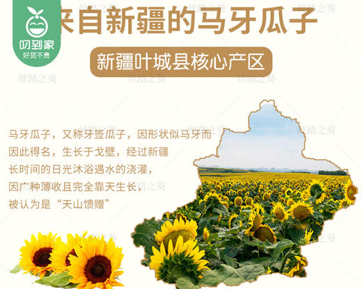 丝路之葵原味马牙瓜子/1份（80g*2包）生产日期：25年11月补单专用 商品图4