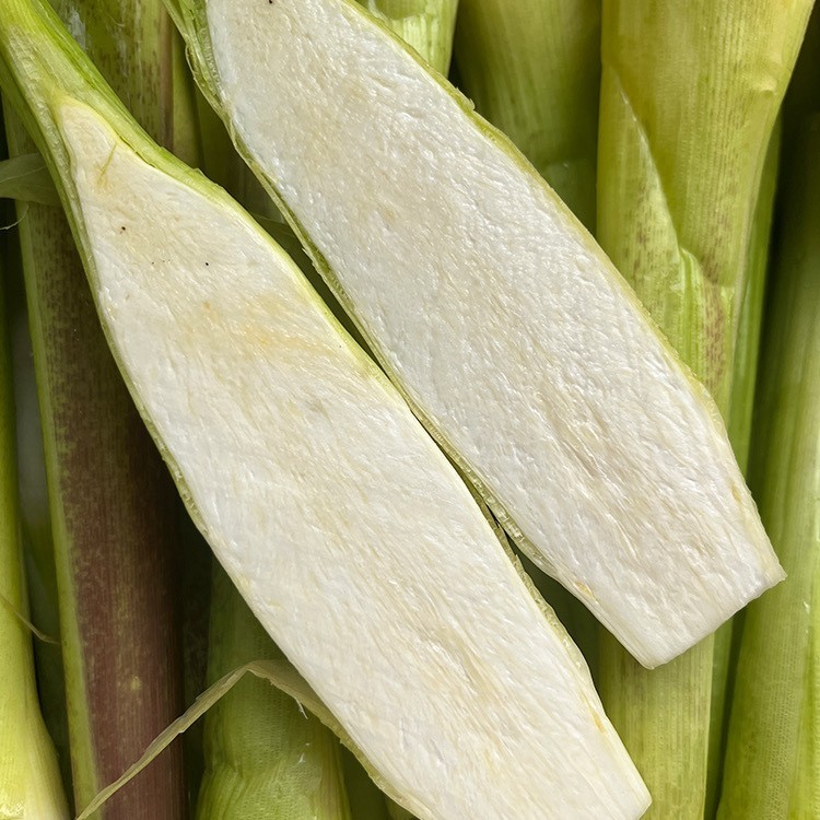 福建安溪茭白【约1.9斤】