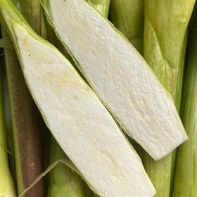 福建安溪茭白【约1.9斤】